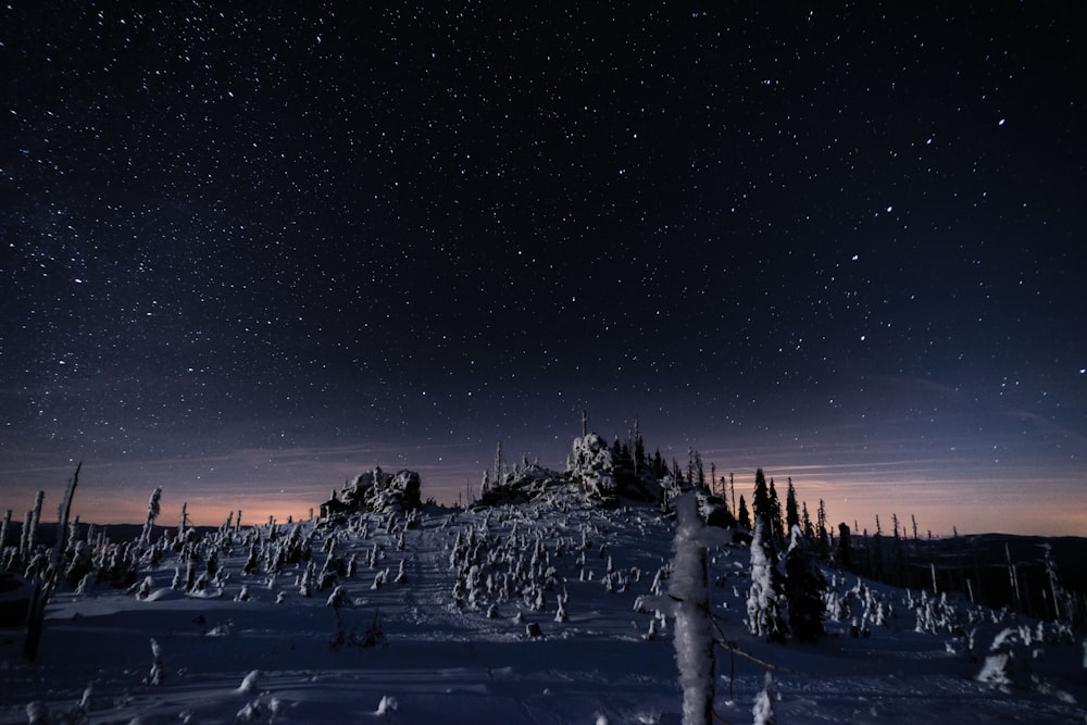 photo of castle under starry night