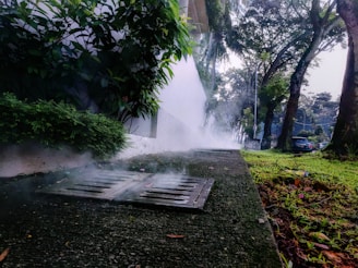 A mist or smoke is rising from a drainage grate embedded in a concrete pathway, which is lined with lush green vegetation and trees. A white building wall runs alongside the pathway, and parked cars are visible in the distance. The scene appears to be outdoors, possibly in a park or residential area, on a foggy or early morning.