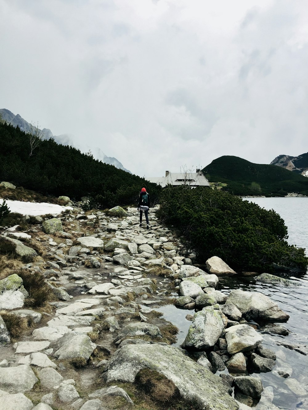 person standing on rocks near bushes