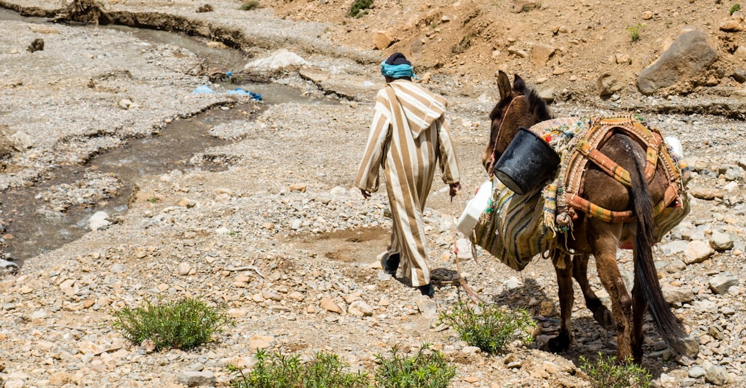 man walking on mountain, This man is getting water at some pure sources in the Atlas for his village. With his donkey he