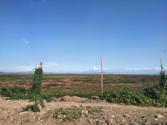 A vacant land lot with a stake marker under a clear sky.