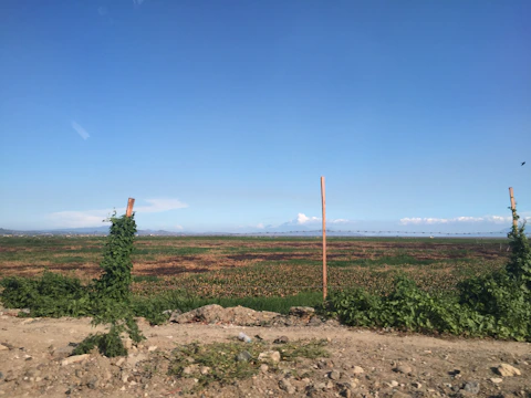 Close-up of a luxury plot boundary marked with gold stakes against rich blue sky.