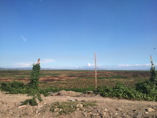 Close-up of a freshly marked plot boundary with stakes and measuring tape under a bright sky.