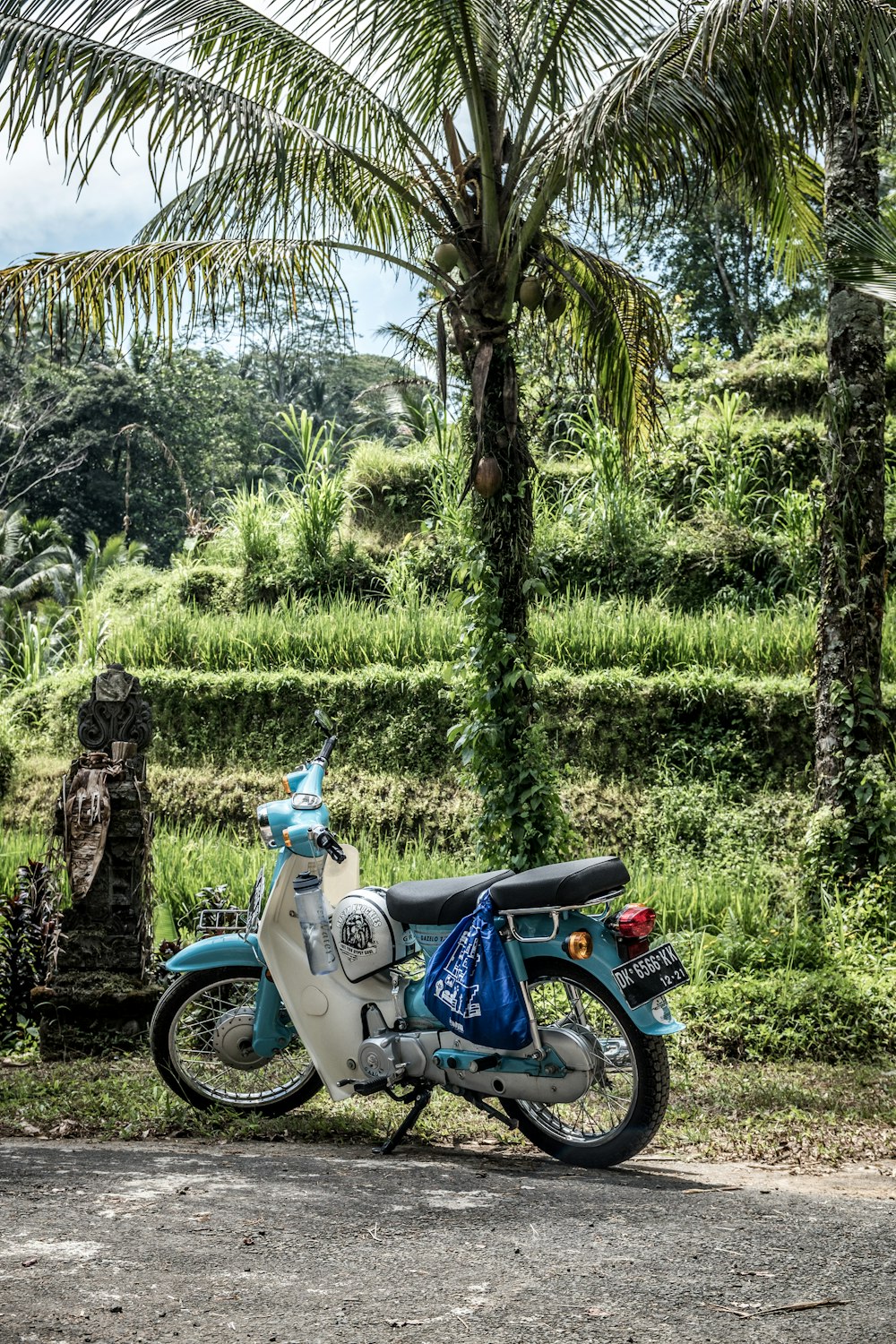 blue and white motorcycle parked under coconut tree