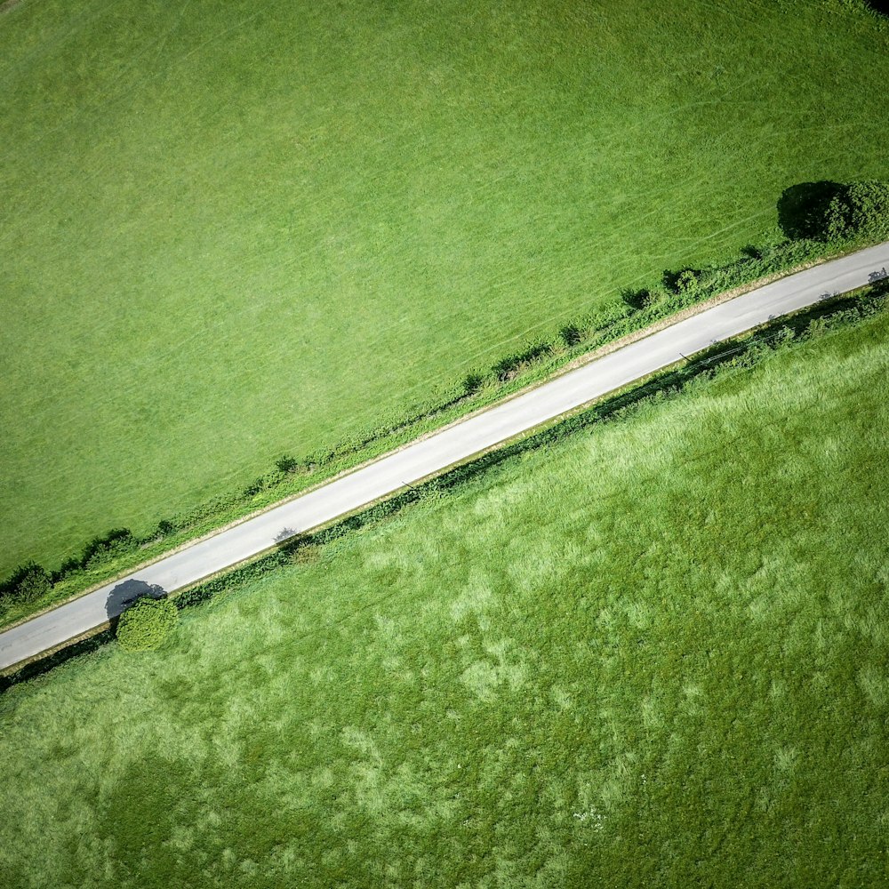 bird's-eye view of road between grass field