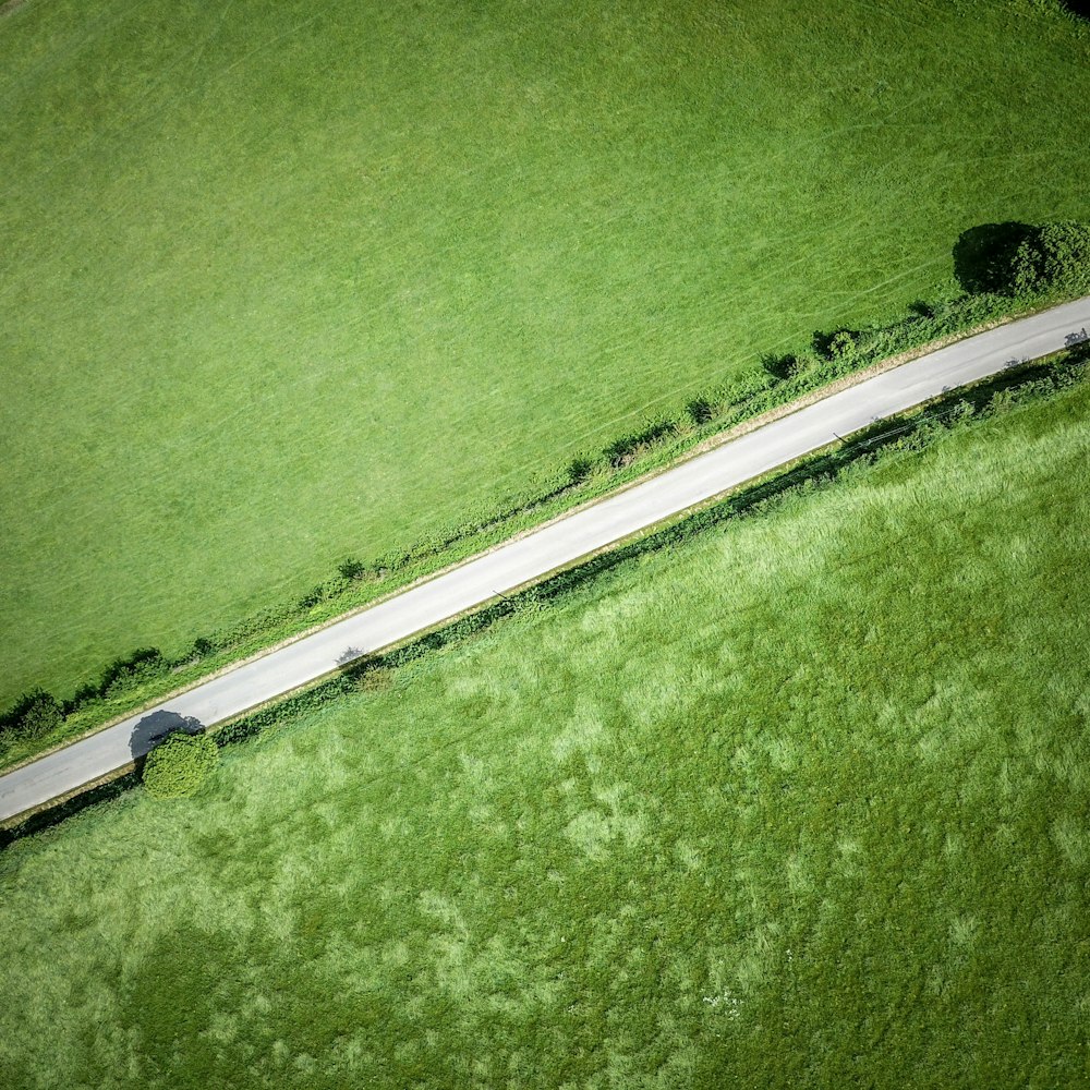 芝生の間の道路を俯瞰した写真