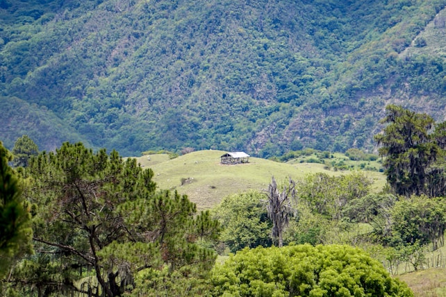 A solitary small farmhouse sits isolated on a lush green hill surrounded by dense woodland and towering mountains. The scene is tranquil, with the farmhouse appearing as a tiny speck amidst the expansive landscape filled with various types of trees and greenery.