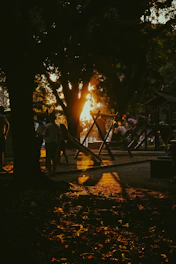 A cinematic image of a family playing together in a sunlit park, with charcoal shadows and terracotta accents.