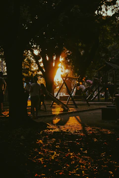 A cinematic image of a family playing together in a sunlit park, with charcoal shadows and terracotta accents.
