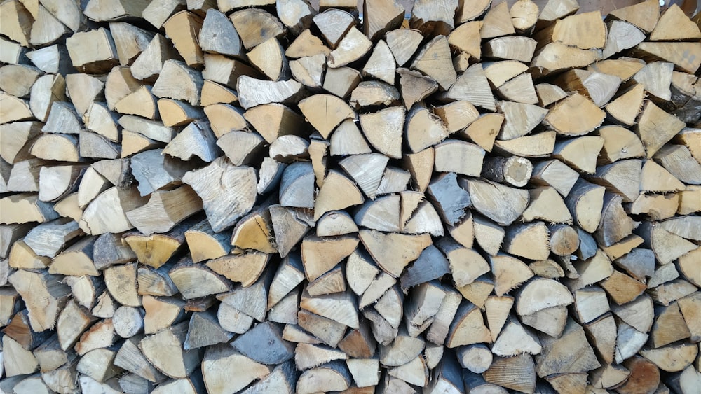 firewood lot