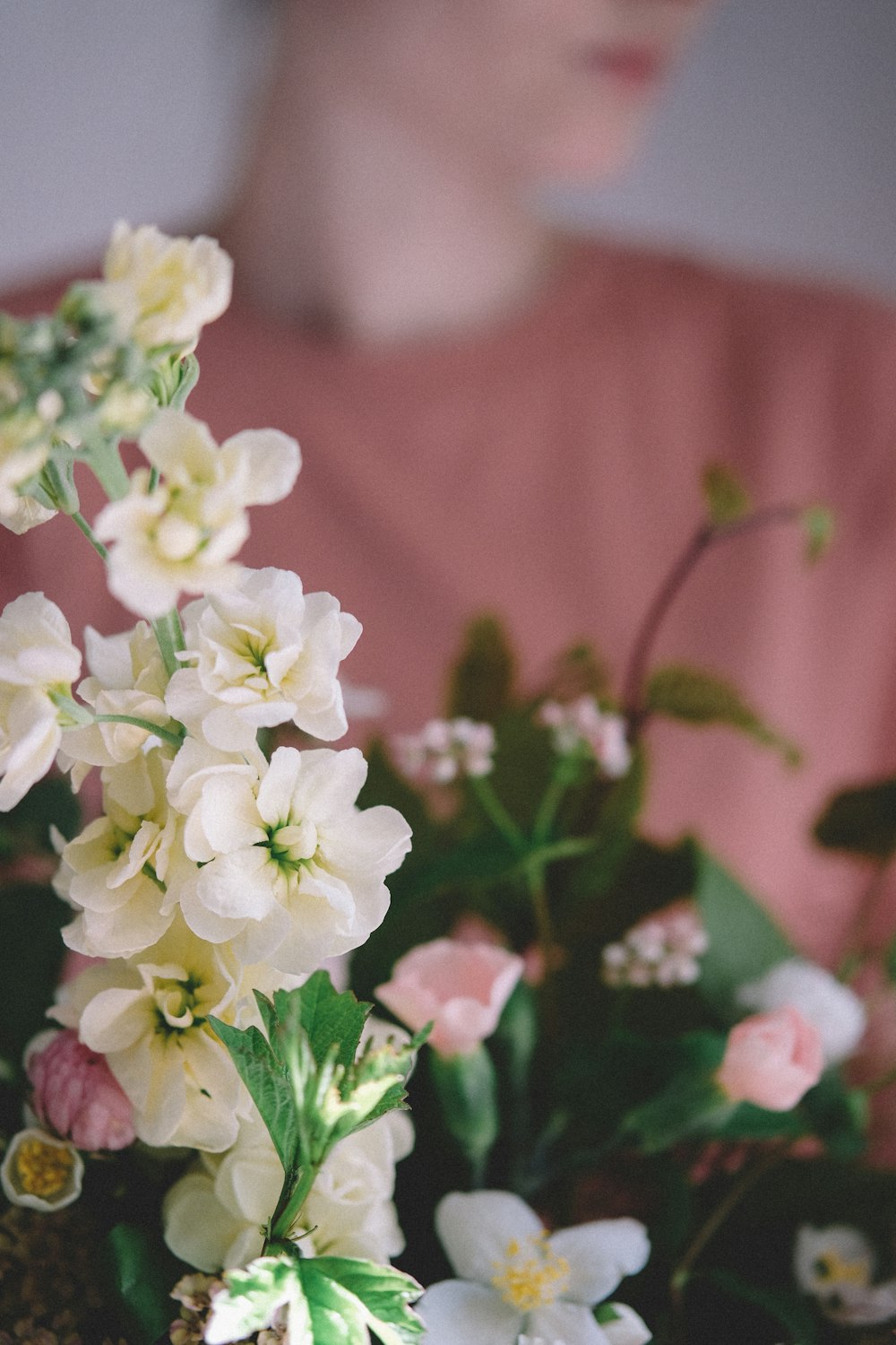 shallow focus photography of white flowers