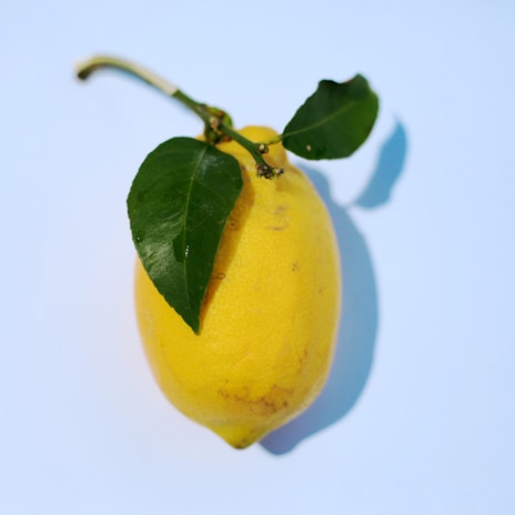 yellow citrus fruit