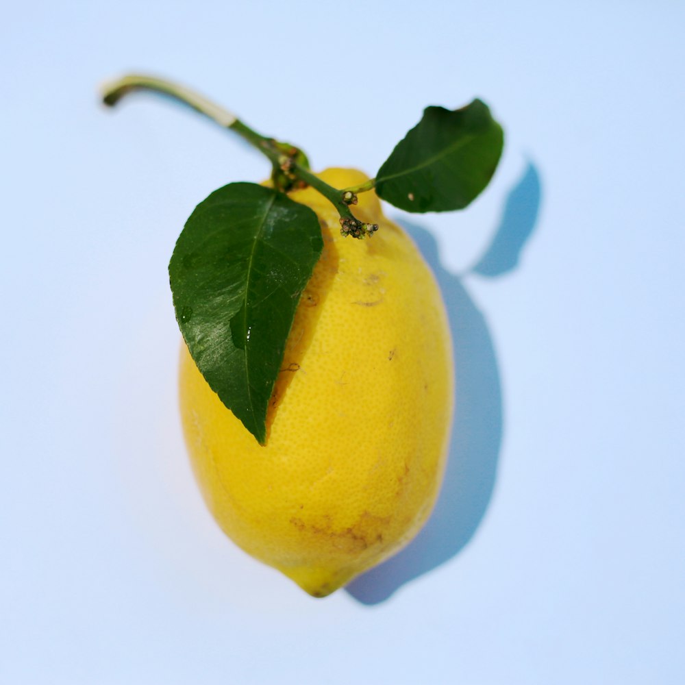 노란 감귤류 과일
