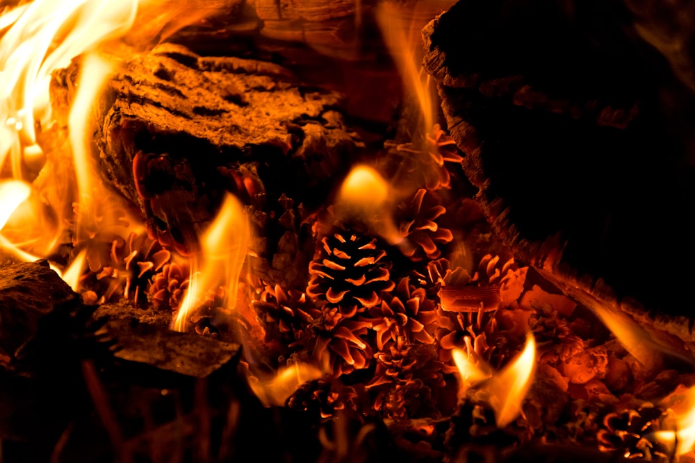 Eine Nahaufnahme eines Feuers, das in einem Kamin brennt