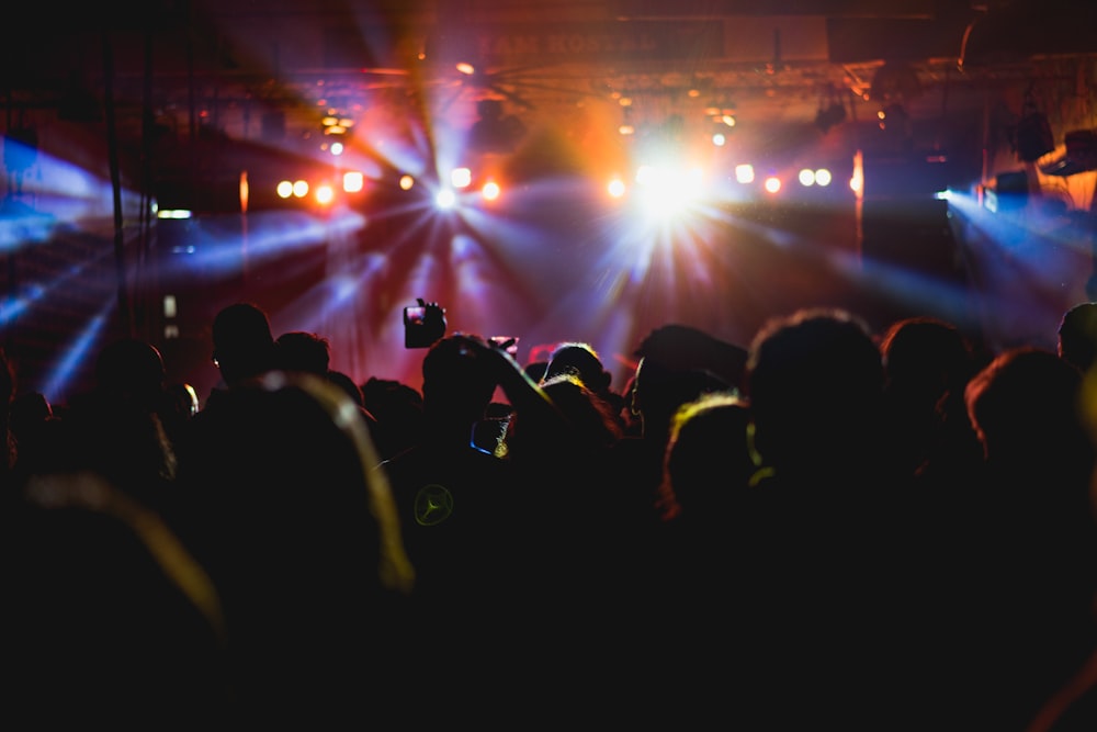 people enjoying concert