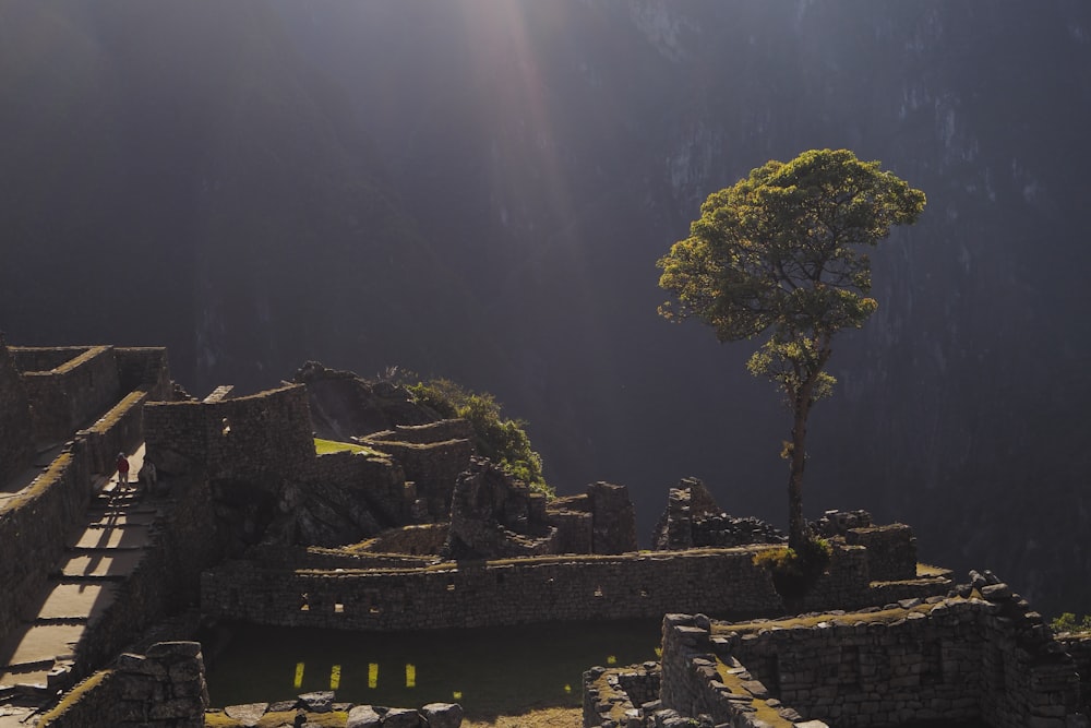 photo of person walking on pathway near mountain and trees