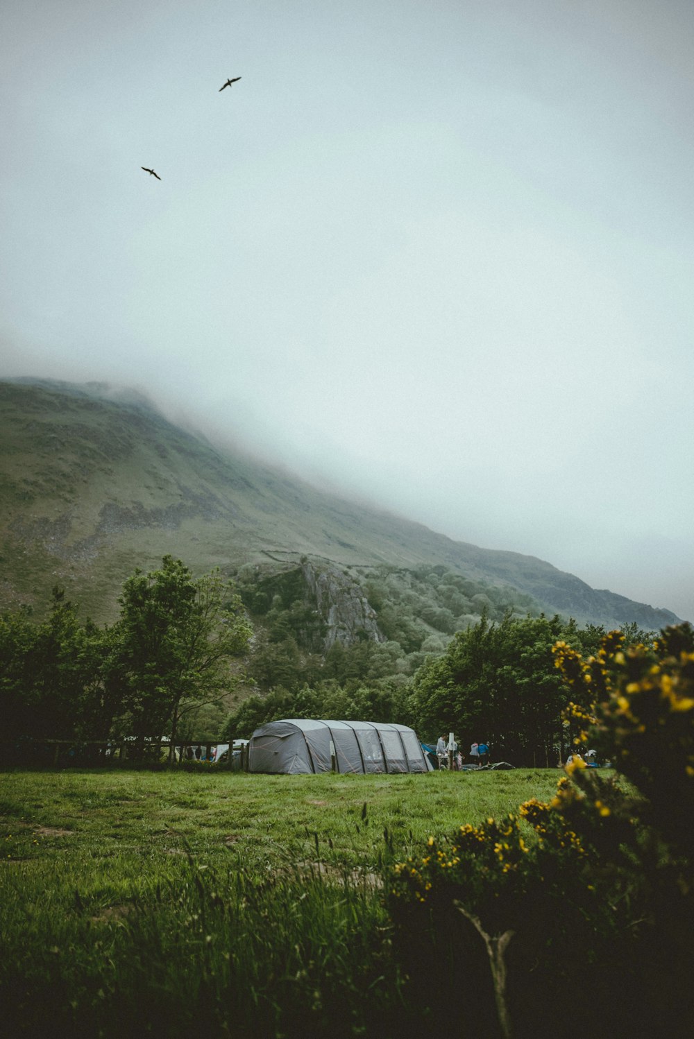 gray tent near mountain