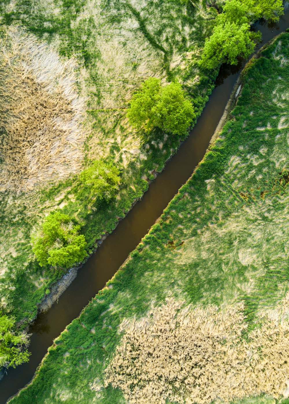 aerial photography of river