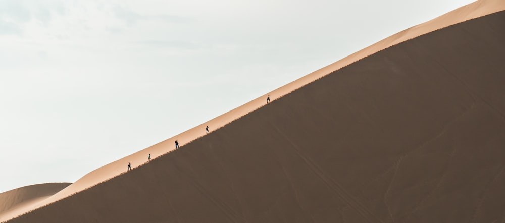 a group of people standing on top of a sand dune