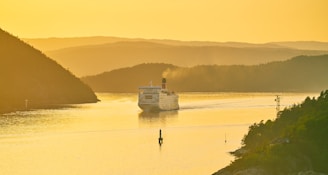 A large cruise ship sails on a calm, reflective body of water surrounded by rolling hills and forests. The sky and water are bathed in a warm, golden light, creating a serene and picturesque scene.