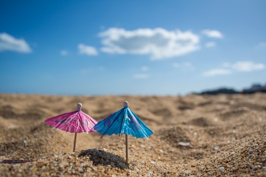 shallow focus photography of cocktail umbrellas pin down in sand in Albufeira Portugal
