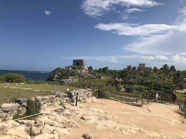 Intricate Swahili coral stone ruins nestled among palm trees on the shoreline.