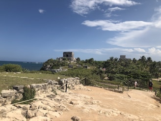 Intricate Swahili coral stone ruins nestled among palm trees on the shoreline.