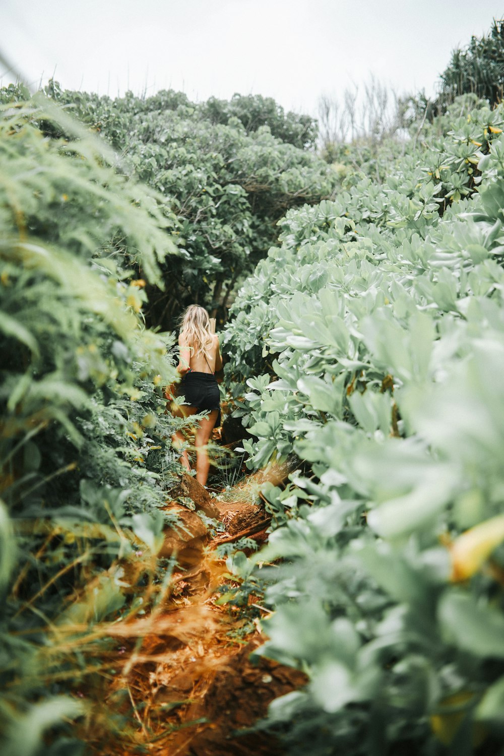 topless woman walking through path surrounded by tall trees