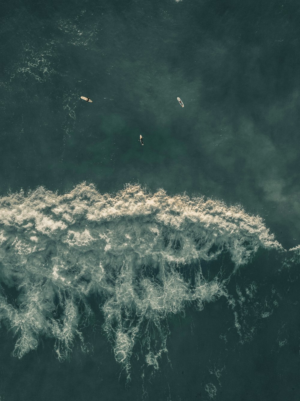 Fotografía a vista de pájaro de surfistas en el cuerpo de agua