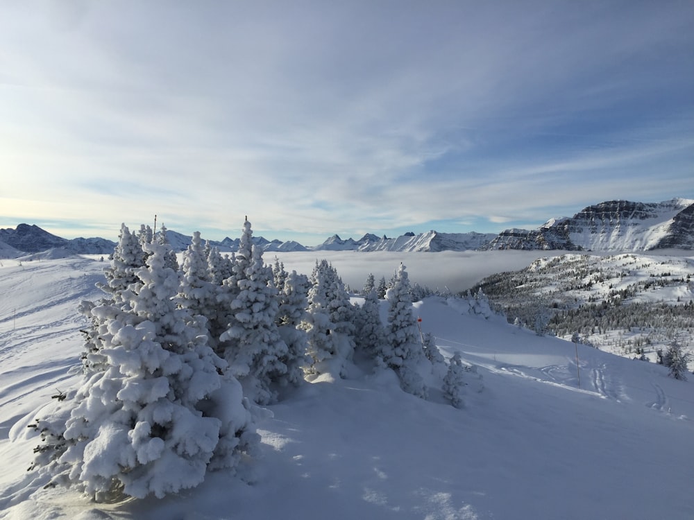 aerial photography of glacier field with snow at daytime