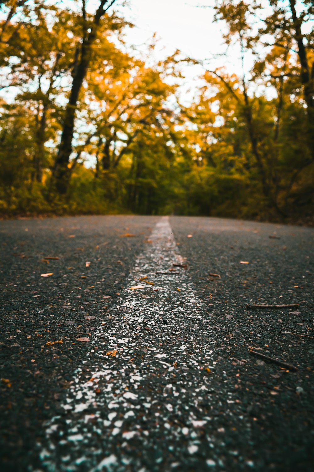 an empty street with trees in the background