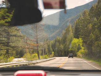 A comfortable Swift Dzire taxi winding through lush green mountain roads with sunlight filtering through tall pine trees.