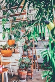 A cozy indoor space filled with various houseplants.