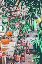 A cozy indoor shelf displaying a mix of vibrant plant pots with lush plants spilling over.