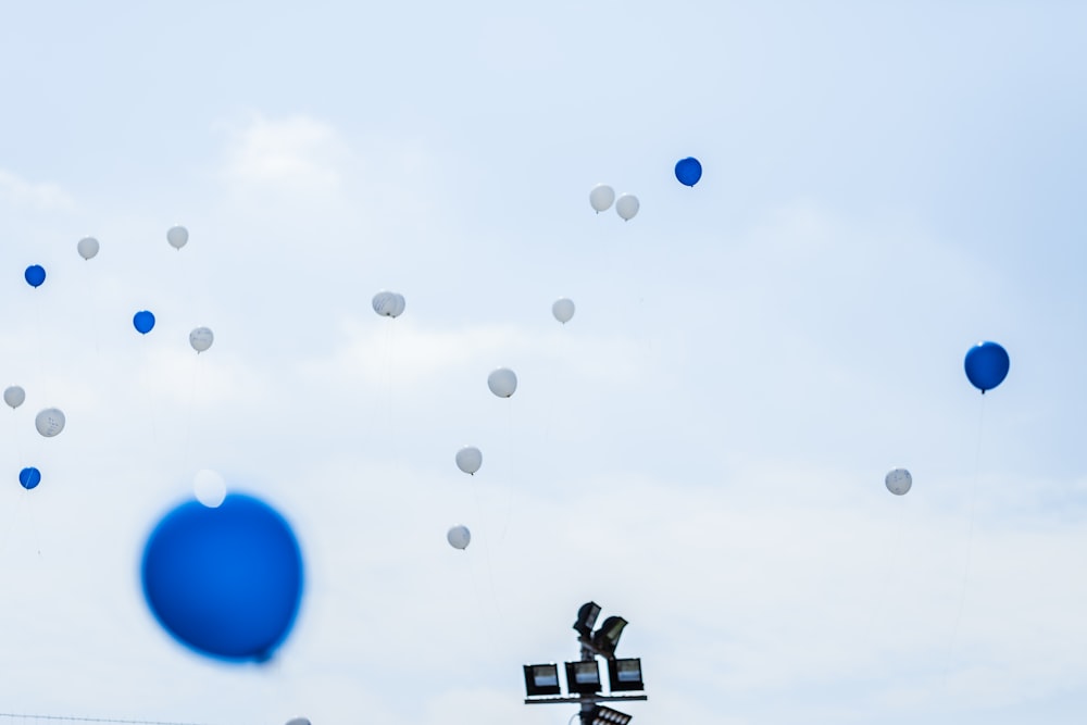 white and blue balloons on sky