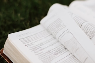 white book pages