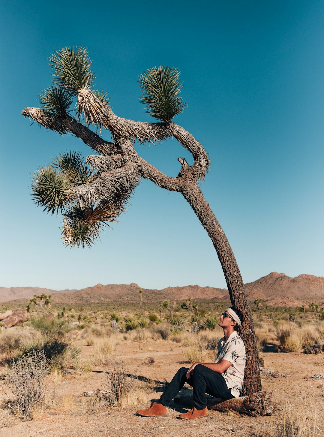 man resting on tree