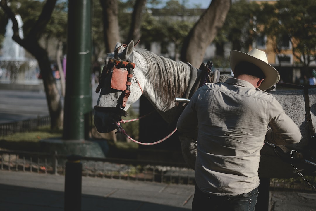 man wearing white dress shirt beside horse, Horse in the city