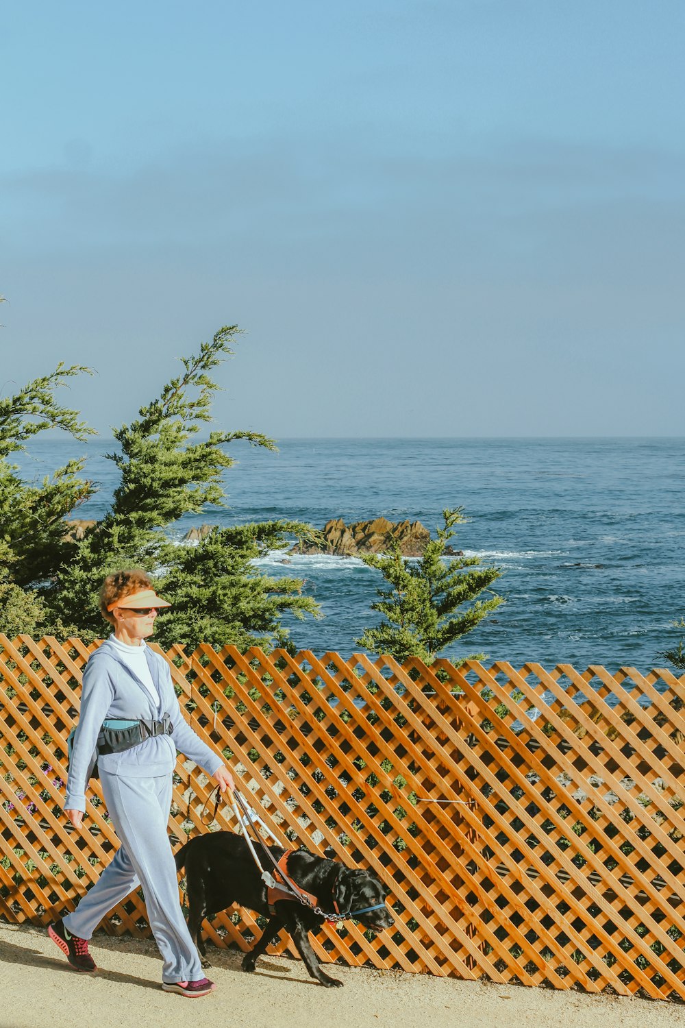 woman with dog walking beside lattice fence