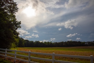 A quiet, sunlit field with a simple wooden fence symbolizing rooted land ownership.