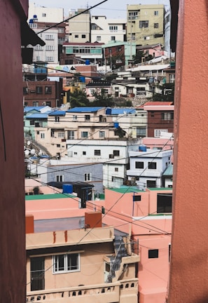 An outdoor view of a vibrant neighborhood with electrical lines.