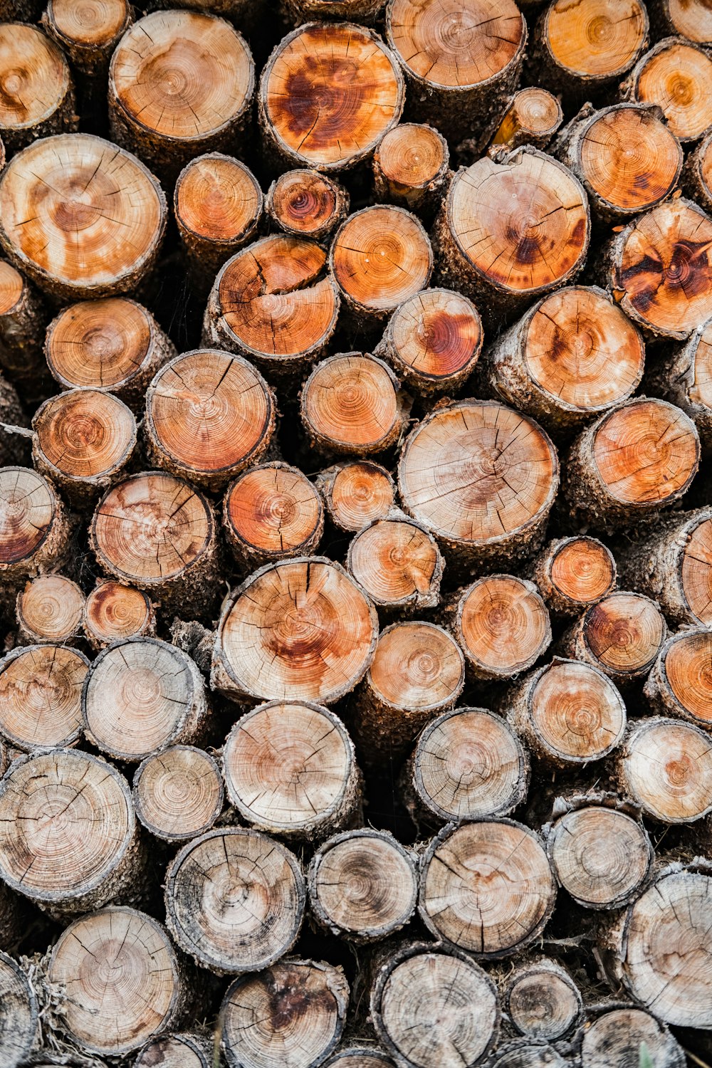 pile of of brown wood logs