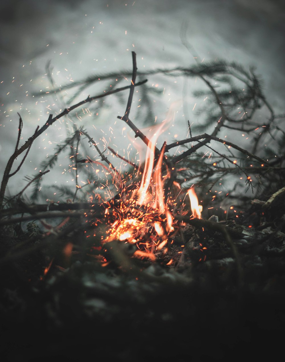 Fotografia con messa a fuoco selettiva di falò