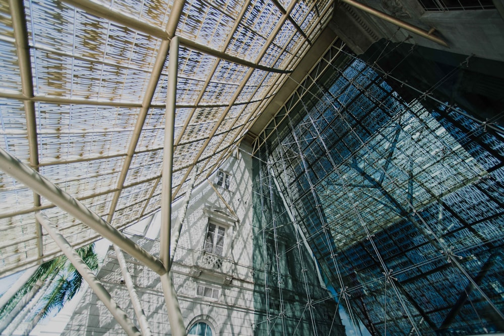 architectural photography of glass building