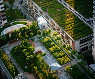 top view of building with trees