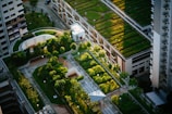 top view of building with trees
