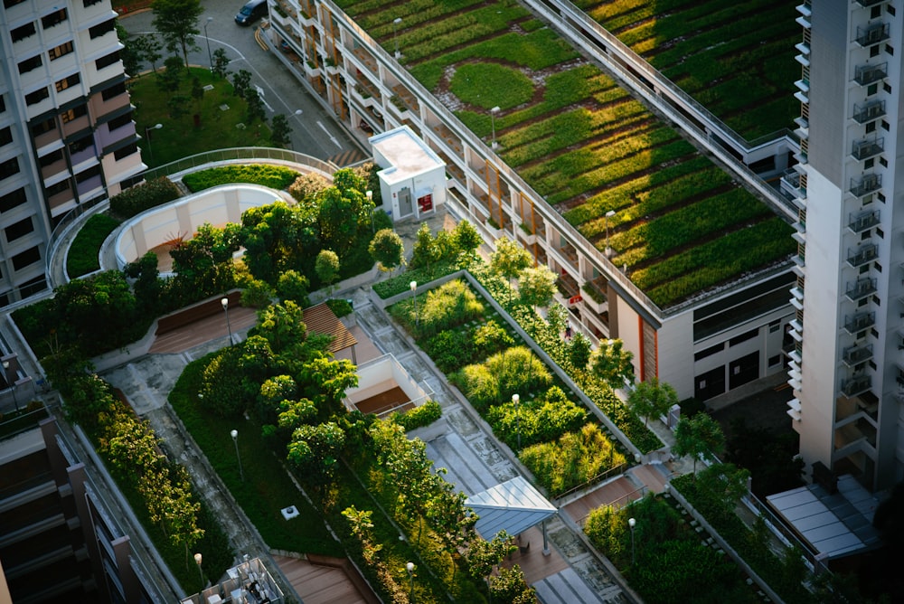 top view of building with trees