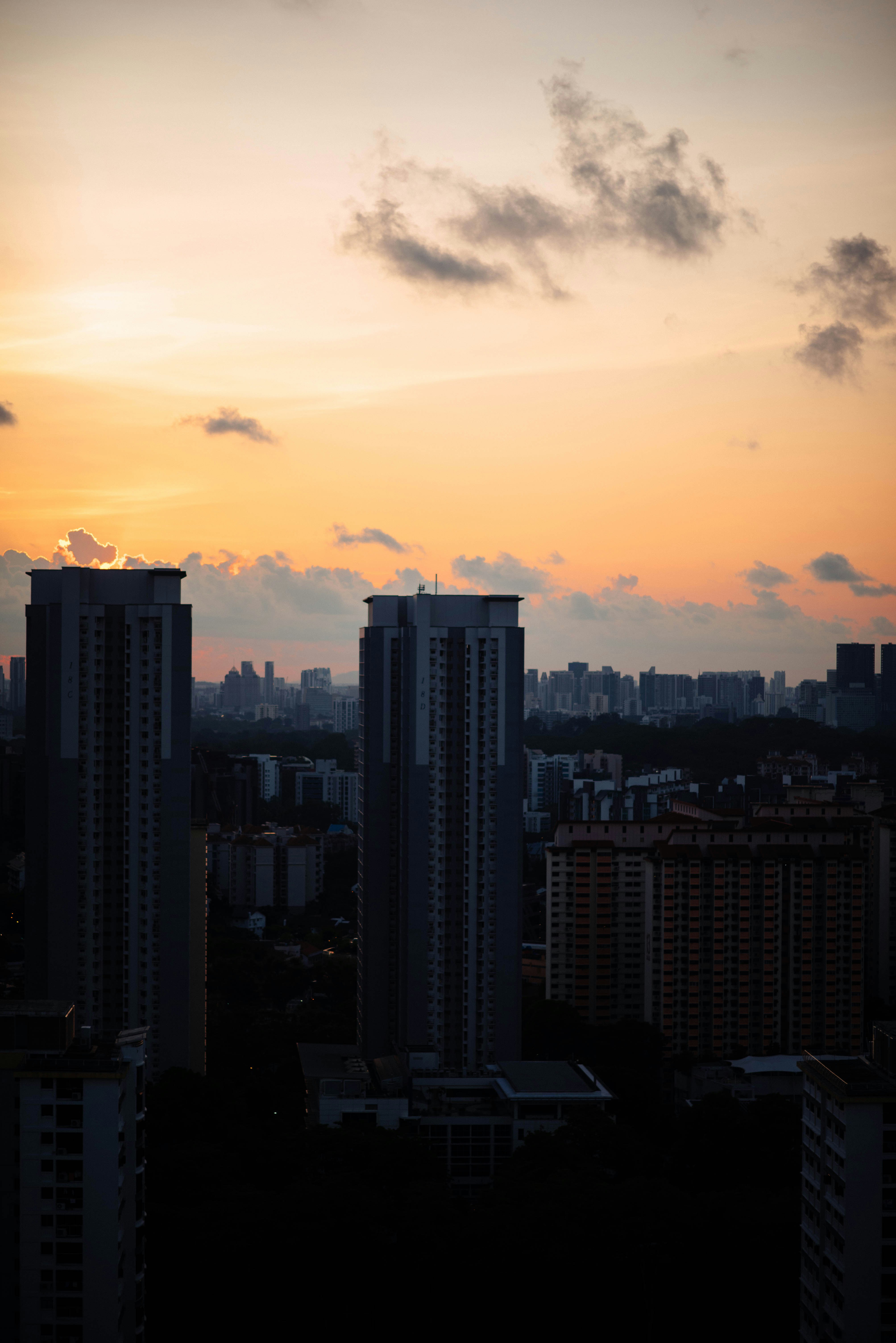 Photo by chuttersnap