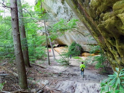 A lush, green forest with tall trees and a massive rock formation. A path winds through the landscape, where people are seen walking and exploring. The scene is vibrant with dense foliage contrasting against the rocky surface.
