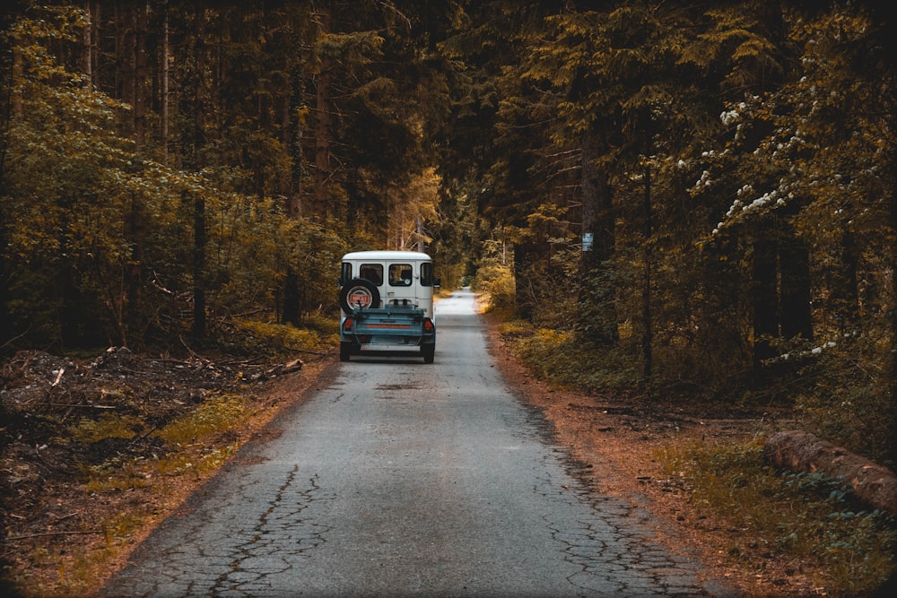 white vehicle on pavement surrounded by forest